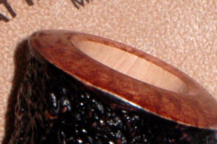 testa